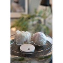 P457.0219__M_402__034afa4fd24149d9ab2608688ca76490-XD-CONNECT-2026.jpg
