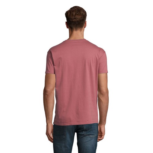 s11500-ap-back_id392-2026.jpg