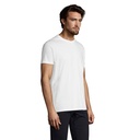 s11500-wh-side_id392-2026.jpg