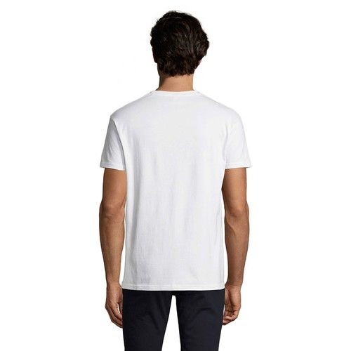 s11500-wh-back_id392-2026.jpg