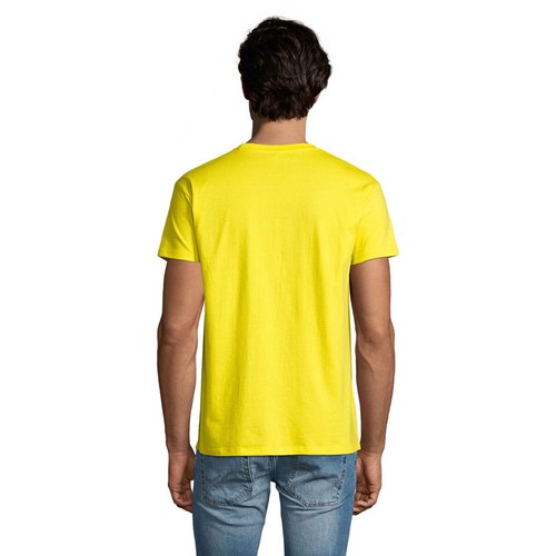 s11500-le-back_id392-2026.jpg