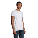 s03565-as-back_id392-2026.jpg
