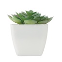mo2853-06-back_id392-2026.jpg
