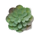 mo2853-06-side_id392-2026.jpg