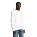 s03574-wh-back_id392-2026.jpg