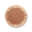 mo6313-02-back_id392-2026.jpg