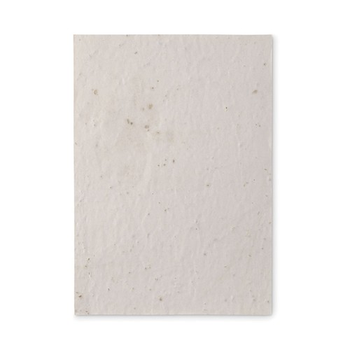 mo6915-06-back_id392-2026.jpg