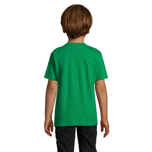 s11770-kg-back_id392-2026.jpg