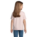 s11770-mp-back_id392-2026.jpg