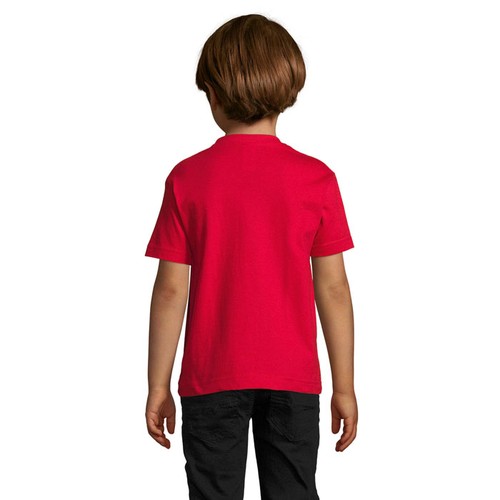 s11770-rd-back_id392-2026.jpg
