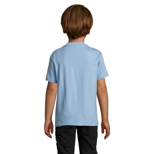 s11770-sk-back_id392-2026.jpg