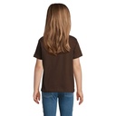 s11770-ch-back_id392-2026.jpg