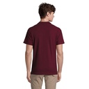 s11362-bg-back_id392-2026.jpg