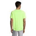 s11939-ne-back_id392-2026.jpg