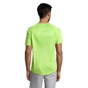s11939-ag-back_id392-2026.jpg
