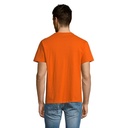 s11150-or-back_id392-2026.jpg