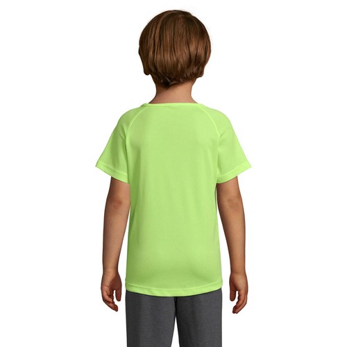 s01166-ne-back_id392-2026.jpg