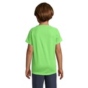 s01166-ng-back_id392-2026.jpg