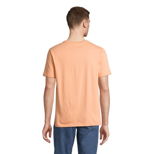 s03981-ph-back_id392-2026.jpg