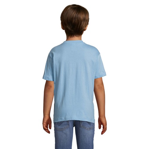 s11970-sk-back_id392-2026.jpg