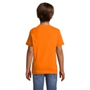 s11970-or-back_id392-2026.jpg