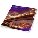 2129201_B1-id400-jan26.jpg