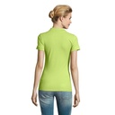s11347-ag-back_id392-2026.jpg