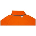 3947531_E1-id400-jan26.jpg
