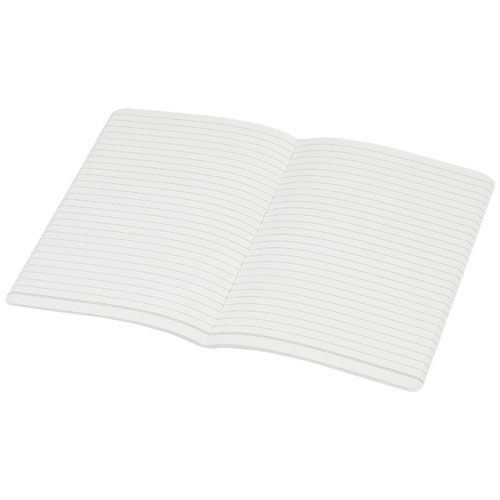 10781490_E1-id400-jan26.jpg
