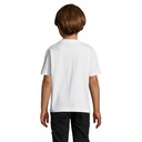 s11770-wh-back_id392-2026.jpg