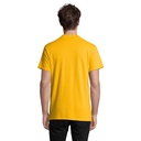 s11362-go-back_id392-2026.jpg