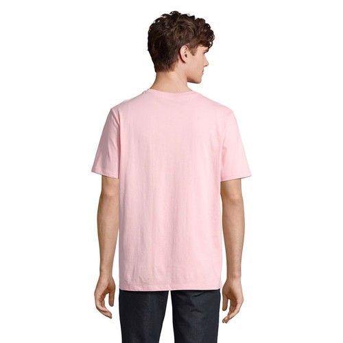 s03981-ax-back_id392-2026.jpg