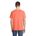 s03981-po-back_id392-2026.jpg