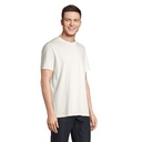 s03981-ww-side_id392-2026.jpg