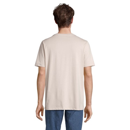 s03981-ln-back_id392-2026.jpg