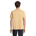 s03981-df-back_id392-2026.jpg