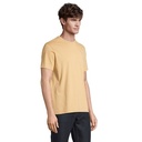 s03981-df-side_id392-2026.jpg