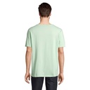 s03981-gn-back_id392-2026.jpg