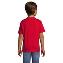 s11970-rd-back_id392-2026.jpg