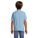 s11970-sk-back_id392-2026.jpg