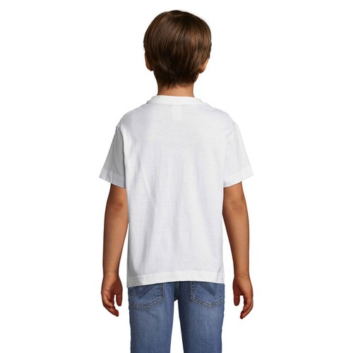 s11970-wh-back_id392-2026.jpg