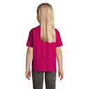 s11970-fu-back_id392-2026.jpg