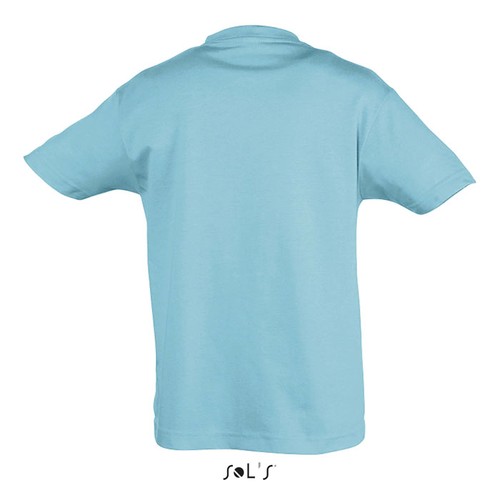 s11970-al-back_id392-2026.jpg