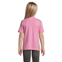 s11970-op-back_id392-2026.jpg