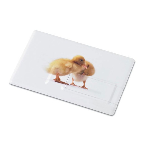 mo1059c-06-back_id392-2026.jpg