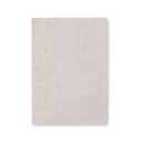 mo6916-06-back_id392-2026.jpg