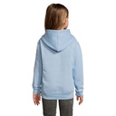 s13255-sk-back_id392-2026.jpg