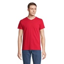 REGENT V TEE-SHIRT COL