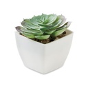 ARTIECHE Mini plante artificielle