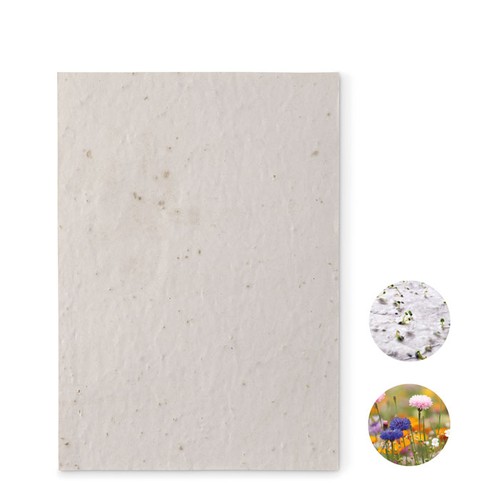 ASIDE Papier A5 graines de fleurs